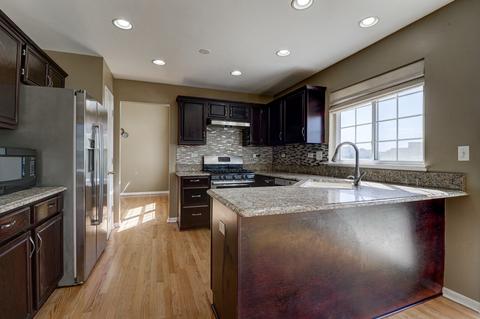 1333 Richmond Ln, Bartlett, IL 60103 photo 21