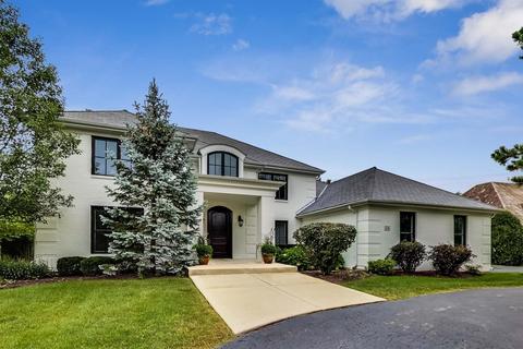 24 Deer Path Trl, Burr Ridge, IL 60527 photo 1