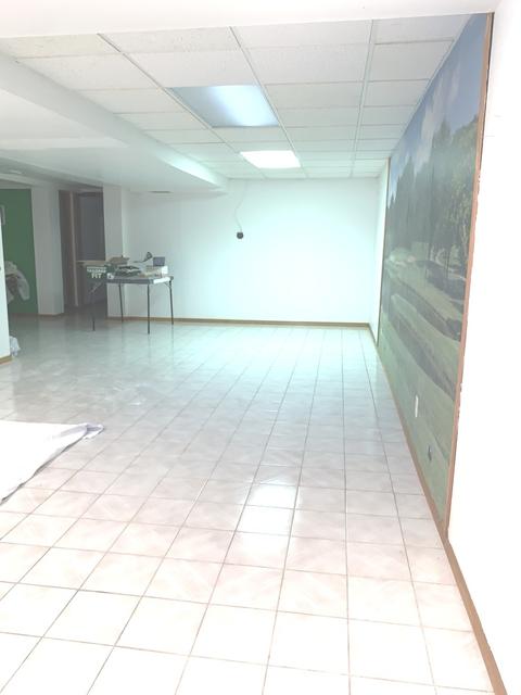 929 Doral Dr, Bartlett, IL 60133 photo 32
