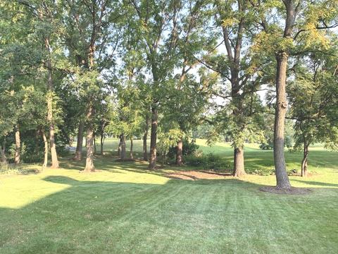 929 Doral Dr, Bartlett, IL 60133 photo 8