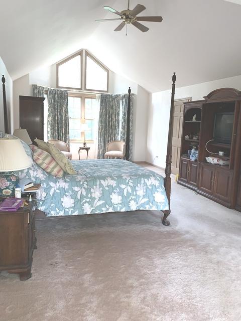 929 Doral Dr, Bartlett, IL 60133 photo 24