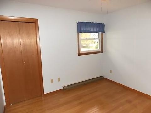 304 E Wilson St, Peotone, IL 60468 photo 17