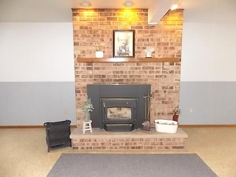 304 E Wilson St, Peotone, IL 60468 photo 27