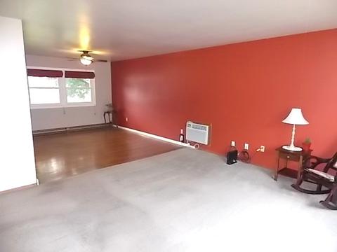 304 E Wilson St, Peotone, IL 60468 photo 5