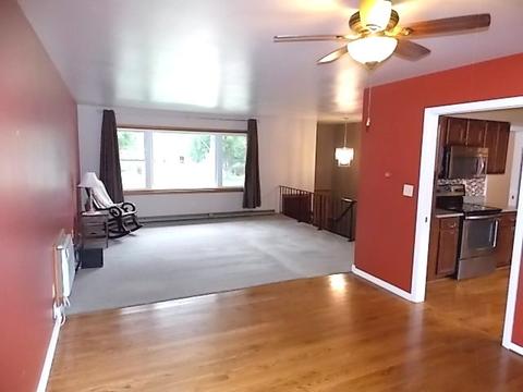 304 E Wilson St, Peotone, IL 60468 photo 4