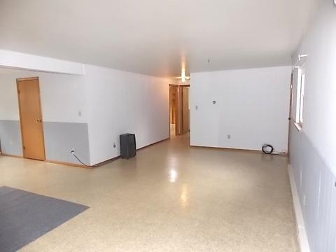 304 E Wilson St, Peotone, IL 60468 photo 29