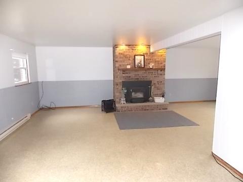 304 E Wilson St, Peotone, IL 60468 photo 28