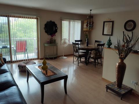 900 Center St #4E, Des Plaines, IL 60016 photo 7