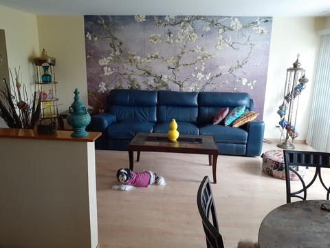 900 Center St #4E, Des Plaines, IL 60016 photo 2