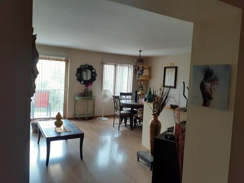 900 Center St #4E, Des Plaines, IL 60016 photo 5