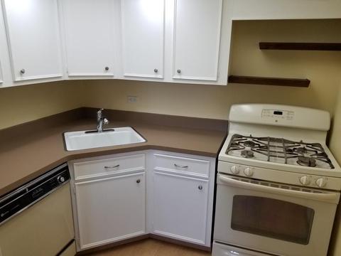 900 Center St #4E, Des Plaines, IL 60016 photo 9