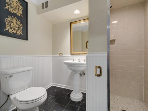 46 E Schiller St, Chicago, IL 60610 photo 26