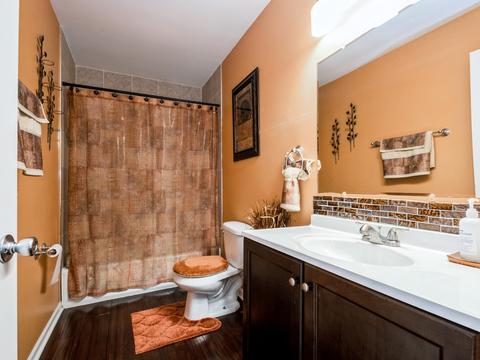 7415 S Champlain Ave, Chicago, IL 60619 photo 8