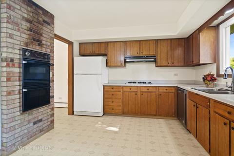 975 Ruth Dr, Elgin, IL 60123 photo 5