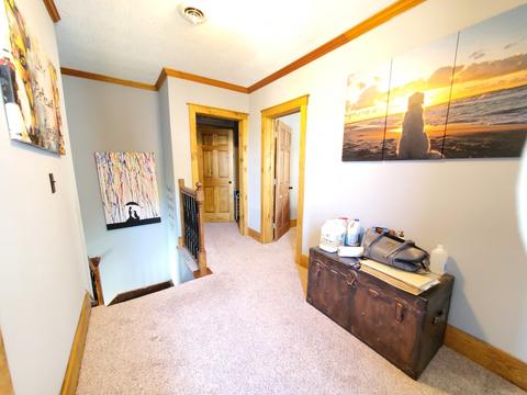 103 S 6th St, Cornell, IL 61319 photo 20