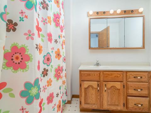 116 Susan Dr, Dwight, IL 60420 photo 13