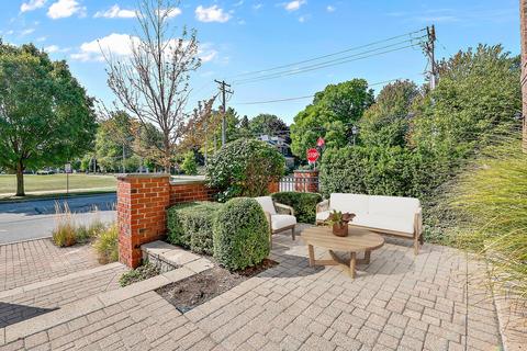127 Spring Ave, Naperville, IL 60540 photo 30