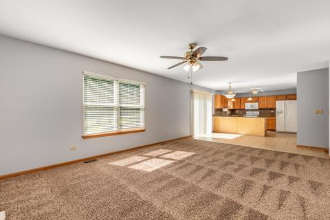 2009 Briar Ridge Ct, Plainfield, IL 60586 photo 8