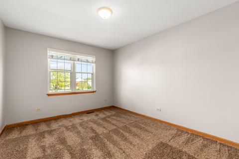 2009 Briar Ridge Ct, Plainfield, IL 60586 photo 15