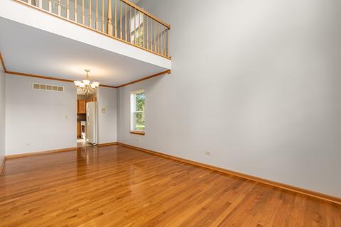 2009 Briar Ridge Ct, Plainfield, IL 60586 photo 4