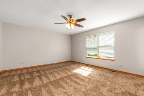 2009 Briar Ridge Ct, Plainfield, IL 60586 photo 14
