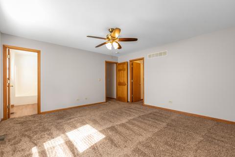 2009 Briar Ridge Ct, Plainfield, IL 60586 photo 11