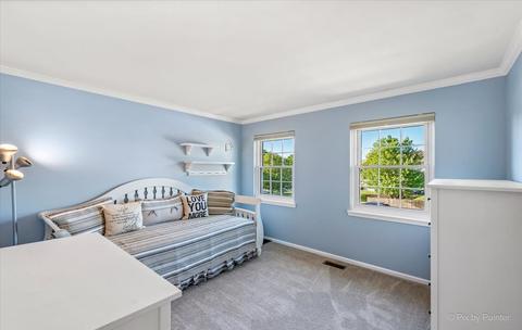 1353 Paddock Pl, Bartlett, IL 60103 photo 31