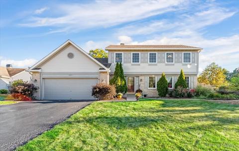 1353 Paddock Pl, Bartlett, IL 60103 photo 1