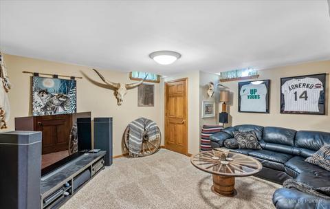 1353 Paddock Pl, Bartlett, IL 60103 photo 35