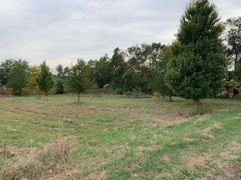 11666 Backbone Rd, Wyanet, IL 61379 photo 1