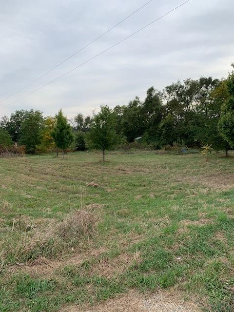 11666 Backbone Rd, Wyanet, IL 61379 photo 10