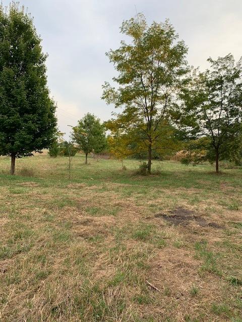 11666 Backbone Rd, Wyanet, IL 61379 photo 13