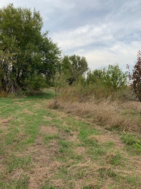 11666 Backbone Rd, Wyanet, IL 61379 photo 11