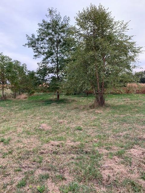 11666 Backbone Rd, Wyanet, IL 61379 photo 6