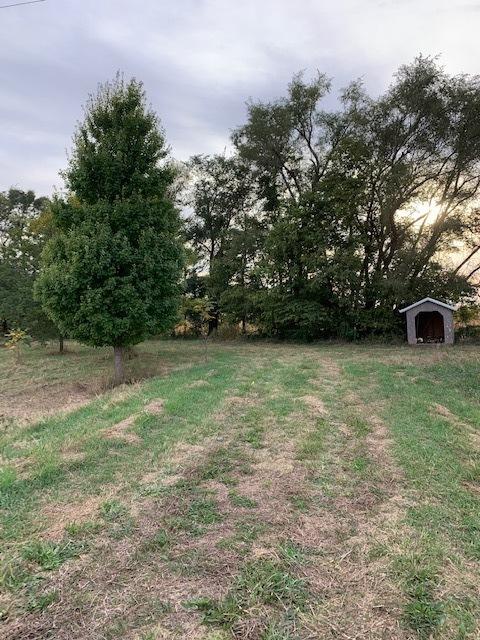 11666 Backbone Rd, Wyanet, IL 61379 photo 9