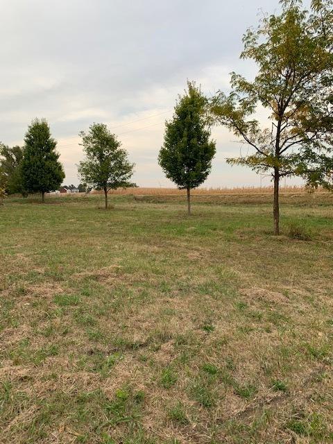 11666 Backbone Rd, Wyanet, IL 61379 photo 3