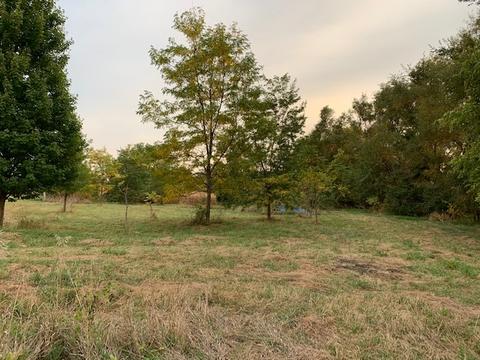 11666 Backbone Rd, Wyanet, IL 61379 photo 2