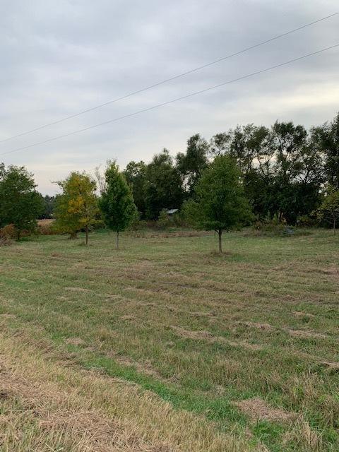 11666 Backbone Rd, Wyanet, IL 61379 photo 8