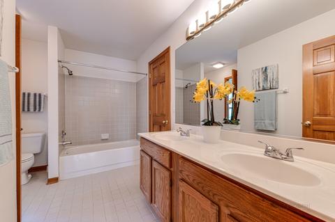 1358 E Thacker St, Schaumburg, IL 60173 photo 28