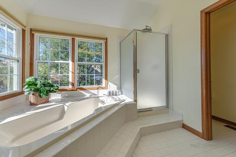 1358 E Thacker St, Schaumburg, IL 60173 photo 27