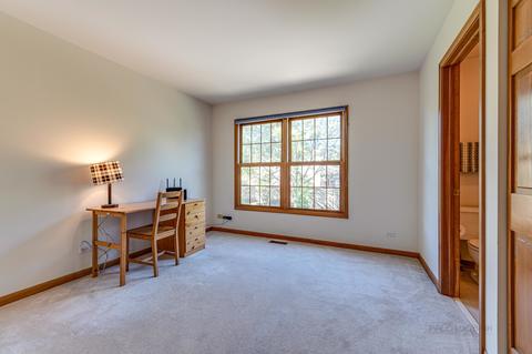 1358 E Thacker St, Schaumburg, IL 60173 photo 25