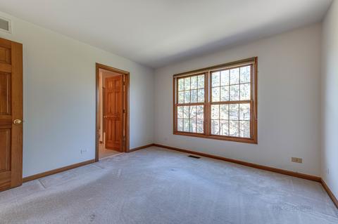 1358 E Thacker St, Schaumburg, IL 60173 photo 23