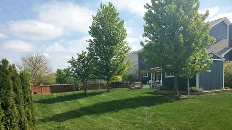 427 W Amberside Dr, Elgin, IL 60124 photo 57