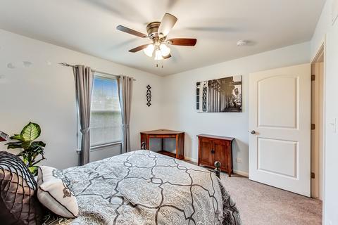 427 W Amberside Dr, Elgin, IL 60124 photo 37