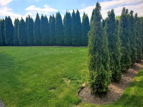 427 W Amberside Dr, Elgin, IL 60124 photo 60