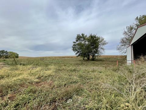 9822 Mill Rd, Mount Carroll, IL 61053 photo 66