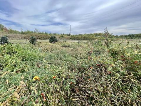 9822 Mill Rd, Mount Carroll, IL 61053 photo 63