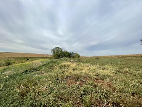 9822 Mill Rd, Mount Carroll, IL 61053 photo 67