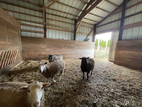 9822 Mill Rd, Mount Carroll, IL 61053 photo 55