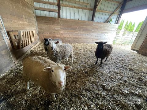 9822 Mill Rd, Mount Carroll, IL 61053 photo 56